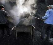 China Coal     